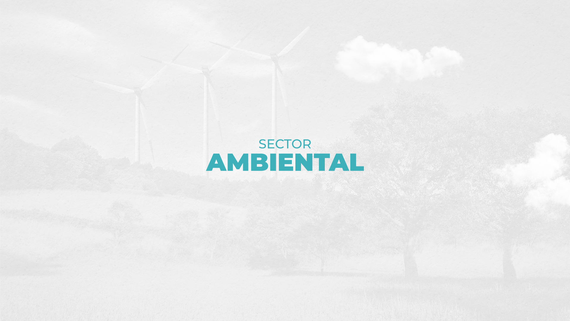 Ambiental