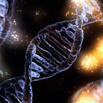 REBATEN UNA DE LAS CREENCIAS SOBRE EL ADN MÁS EXTENDIDAS ENTRE LOS EXPERTOS EN GENÉTICA