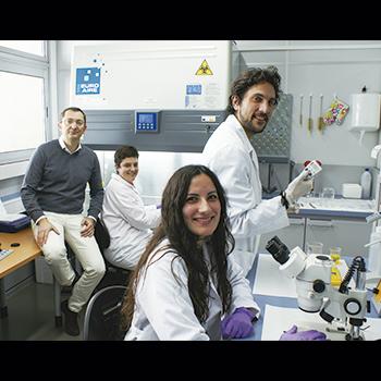 CIENTÍFICOS DEMUESTRAN QUE EL CONSUMO PROLONGADO DE ACEITE DE GIRASOL O DE PESCADO ES NEGATIVO PARA EL HÍGADO