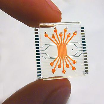 REPRODUCEN LA BARRERA DE LA RETINA HUMANA EN UN MICROCHIP