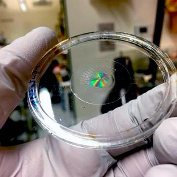 METALENTES CON MÚSCULOS ARTIFICIALES