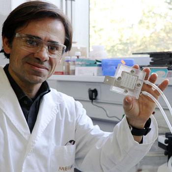 UNA HOJA ARTIFICIAL TRANSFORMA EL CO2 EN BIOCOMBUSTIBLE