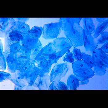 Más cerca de desarrollar una célula artificial