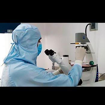 En Medellín podrían encontrar la cura para el alzhéimer precoz en 4 años