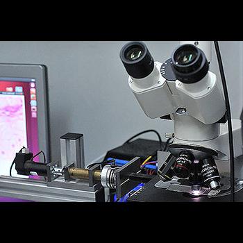 Compuestos mejorarían la actividad de los antibióticos