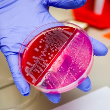 8.000 nuevas combinaciones efectivas de antibióticos