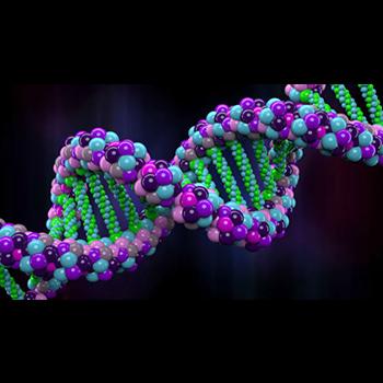 Mover el ADN a una parte diferente del núcleo puede cambiar su funcionamiento