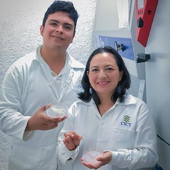 A partir de medusas, desarrollan membrana para regeneración de la piel humana