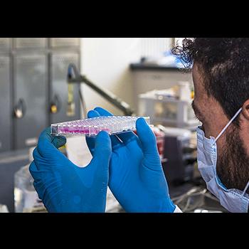 Dineros de regalías, a fortalecer la investigación en el país