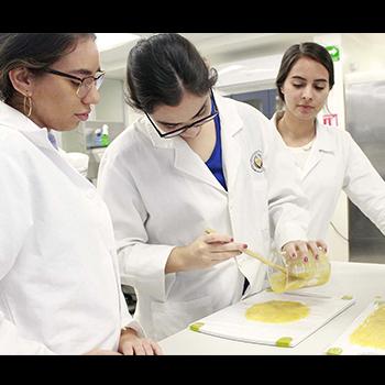 Desarrollan un plástico biodegradable, económico y funcional hecho a base de cáscara de mango