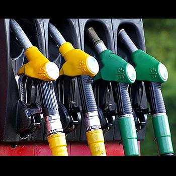 Tres rutas que facilitarían la obtención de biocombustible