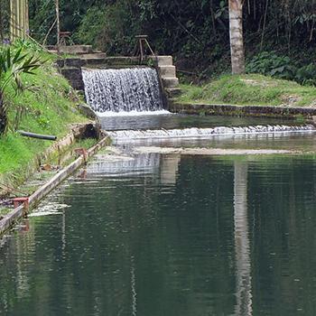Prototipo automatiza prueba de jarras para medir calidad del agua