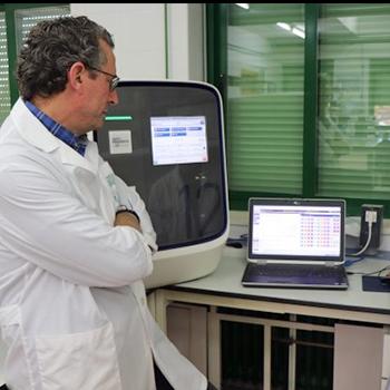 Identifican la función de nuevos microARN en la infección por Salmonella y Shigella