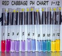 MEDIDORES DE PH - PHMETROS (PROPOSITO, OPERACION Y MANTENIMIENTO)