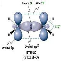 DEFINICION DE CAMARA CLIMATIZADA PARA HIBRIDACION