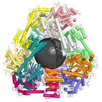 CONSTRUCCION DE JAULAS MOLECULARES PARA FINES BIOMEDICOS