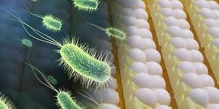 NORMAS DE SEGURIDAD  EN EL LABORATORIO