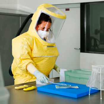 ¿Qué sabemos del nuevo coronavirus encontrado en China?