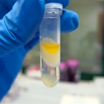 Diseñan un método que usa saliva para analizar compuestos tóxicos en el organismo