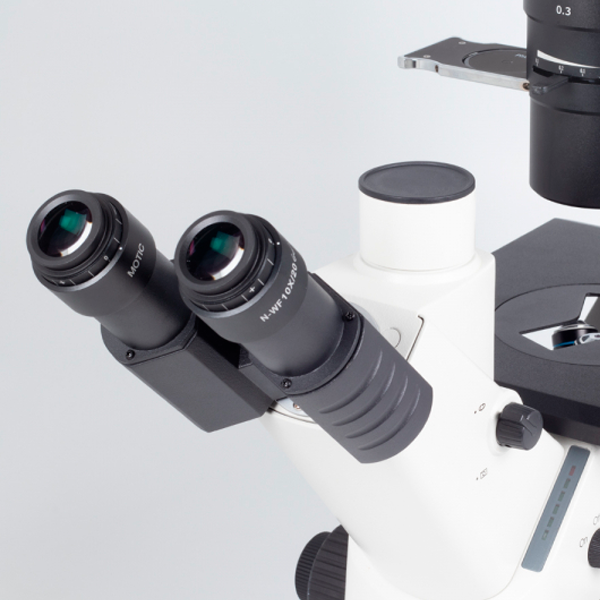 MICROSCOPIO INVERTIDO MOTIC - AE2000 TRINOCULAR