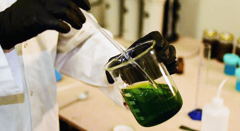 Diseñan plásticos que eliminan virus, bacterias y hongos