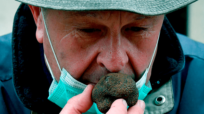Terapias, esenciales para recuperar el gusto poscovid